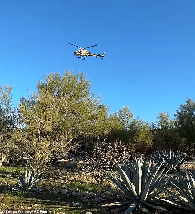 Abduction of 84-Year-Old Nancy Guthrie Sparks Debate Over Multiple Perpetrators, Expert Says