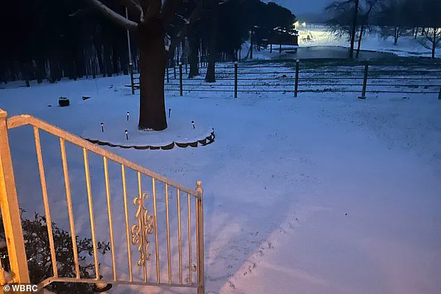 Homeless Man Survives Garbage Truck Crush During Alabama Winter Storm, Rescued at Popeyes Drive-Thru