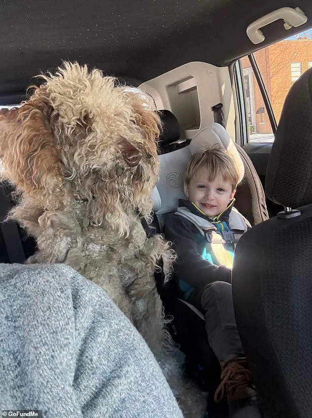 Kind-Hearted Woman Faces Legal Battle After Rescuing Stray Dog in Brutal Snowstorm