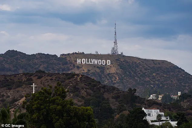 Meredith Hayden (Wishbone Kitchen) Shares Alleged Drugging and Kidnapping Incident at Hollywood Premiere Four Years Ago