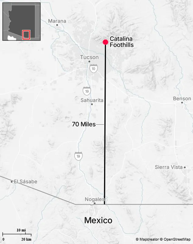 High-Stakes Search for Nancy Guthrie Intensifies in Rugged Catalina Foothills Amid Perilous Conditions
