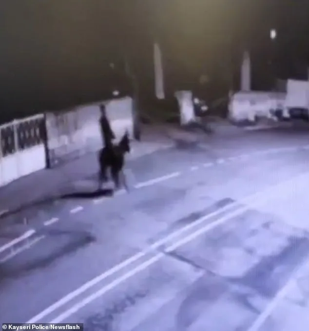 Brazen Theft in Kayseri: Man Uses Forklift and Donkey to Steal Gold, Stuns Authorities