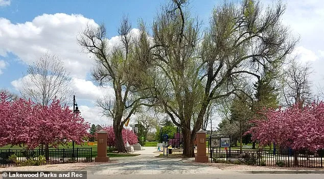 Lakewood's Aviation Park: Homeless Crisis Turns Family-Friendly Neighborhood into a Landscape of Fear