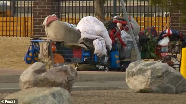 Lakewood's Aviation Park: Homeless Crisis Turns Family-Friendly Neighborhood into a Landscape of Fear