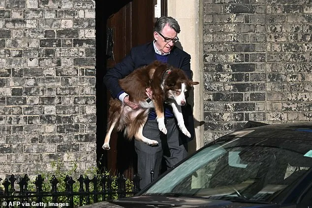 Lord Peter Mandelson Makes Rare Public Appearance Amid Epstein Files and Investigation into Financial Allegations