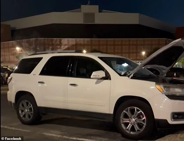 Rodent Invasion Devastates University of Arkansas Student's SUV, Creates Unprecedented Insurance Dilemma