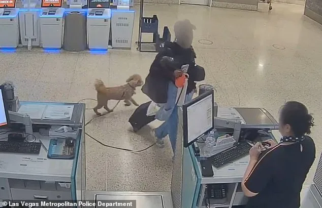 Cold-Hearted Woman Abandoned Puppy at Las Vegas Airport After Being Denied Boarding Over Service Animal Documentation