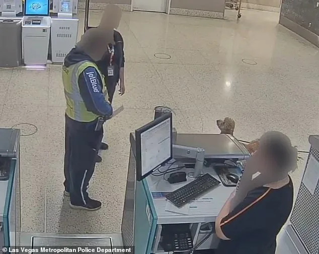 Cold-Hearted Woman Abandoned Puppy at Las Vegas Airport After Being Denied Boarding Over Service Animal Documentation
