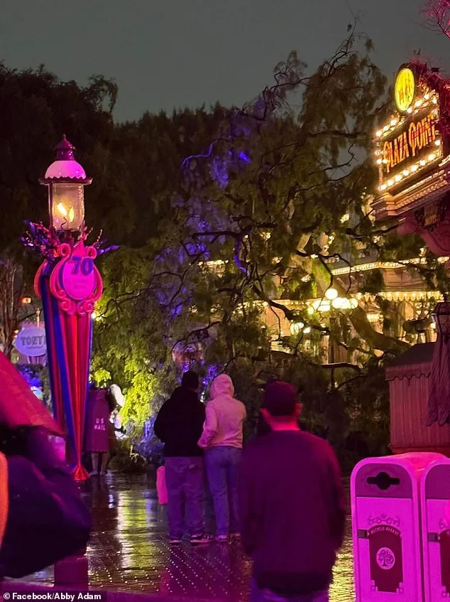 Romantic Disneyland Evening Turned Perilous as Tree Crashes on Couple