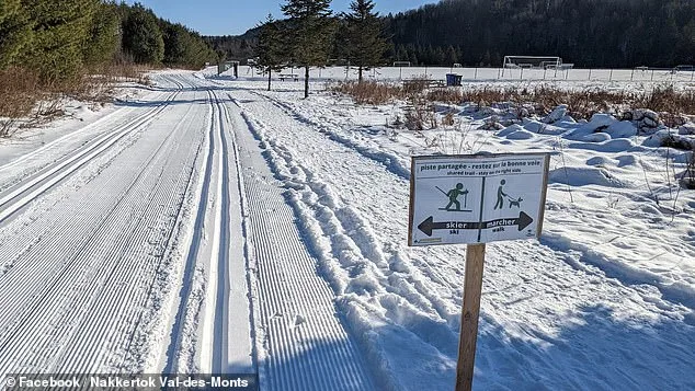 Tragic Sledding Accident Claims 4-Year-Old's Life, Sparks Safety Debate