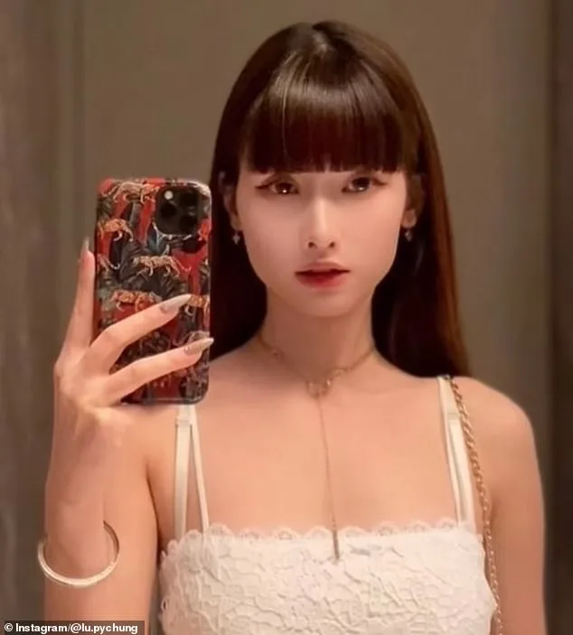 Mental Health Dismisses Charges in Brooklyn Restaurant Bill-Fleeing Case, Sparking Legal Debate