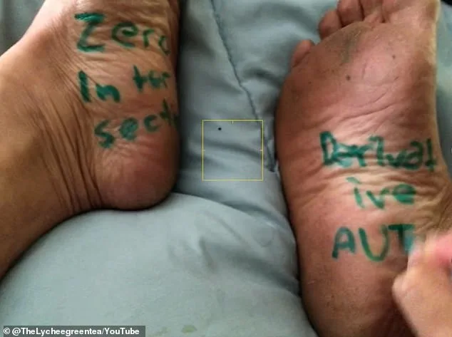 San Francisco Math Teacher Suspended Over Controversial Quizzes Featuring Fat-Shaming and Sexist Prompts