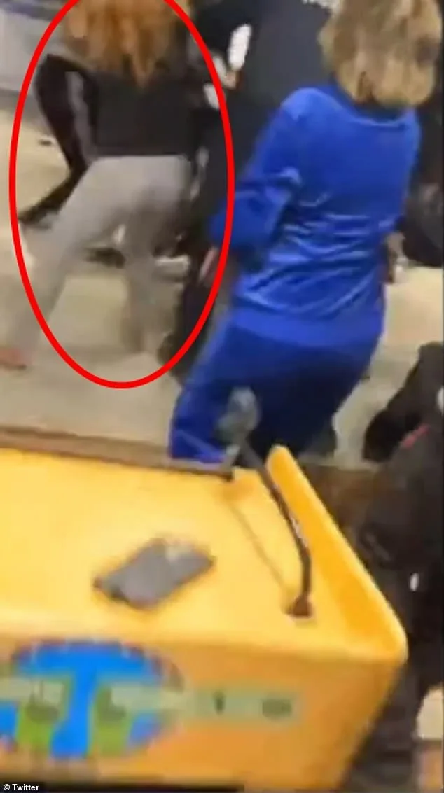 From Controversy to Campaign: Tiffany Heynard's Bold GOP Rebranding in Georgia's Competitive Race