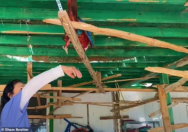 Dawn Screams from Heidi Fleiss's Macaws Spark Las Vegas Neighborhood Dispute