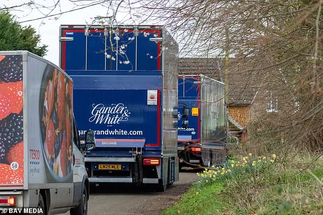 Andrew Mountbatten-Windsor's Relocation Unveiled: Gander & White Transports Fine Art for Royal Move