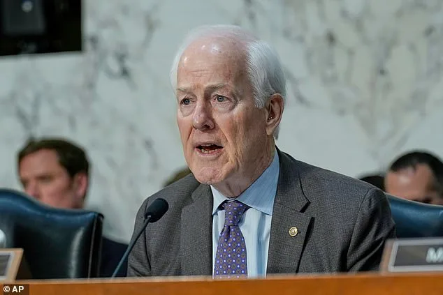 Trump Ally Accuses Texas Senator John Cornyn of 'Devious' Plot to Fast-Track Democratic Donor's UN Ambassador Nomination