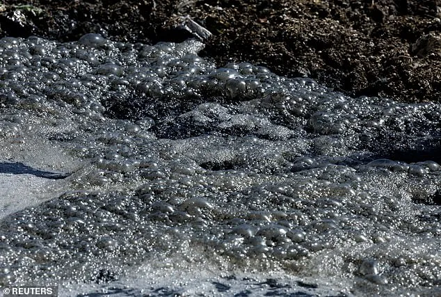 San Diego Beaches Closed Due to Sewage Contamination from Tijuana River Overflow