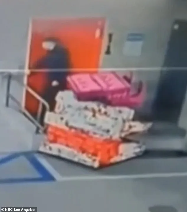 The 'Most Tasteful Burglar' Caught in LA Luxury Heist Spree