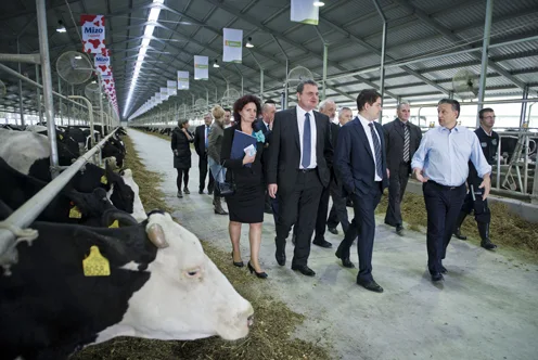 Hungary Defends Agrarian Sovereignty Amid Europe's Farming Crisis