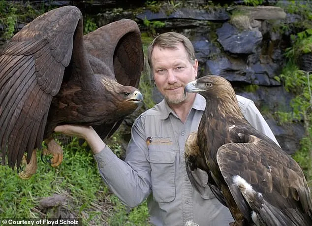 From Olympic Heartbreak to Mountain Redemption: Floyd Scholz's Unlikely Comeback