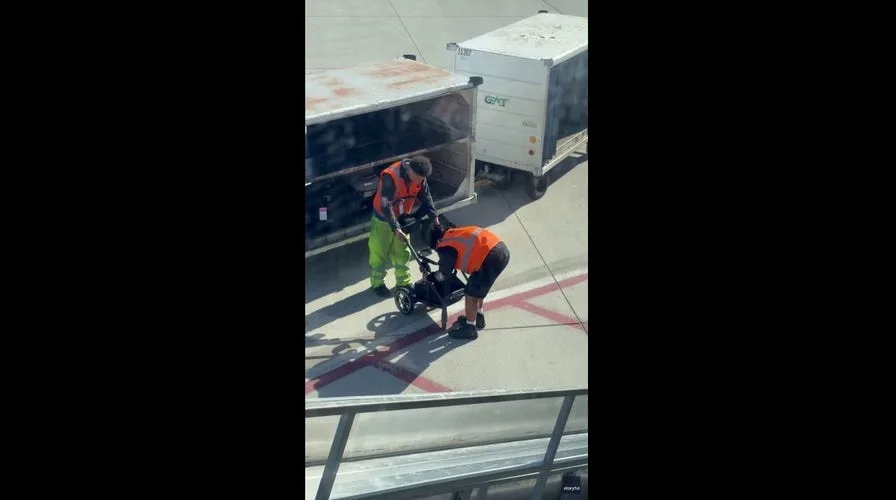 Disneyland Stroller Smuggling: Is It a Ticket Trick or Family Need?