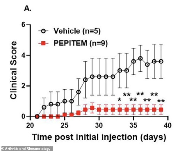 New Peptide Therapy Targets Root Cause of Arthritis Pain