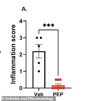 New Peptide Therapy Targets Root Cause of Arthritis Pain