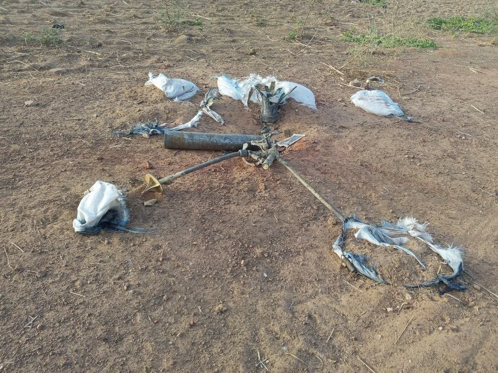 Mali Defense Minister Killed in Militant Offensive as Capital Falls