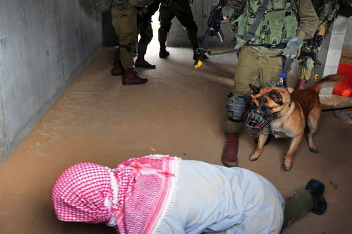 Israel Departs Hundreds of Pro-Palestinian Activitors Following Flotilla Aid Seizure