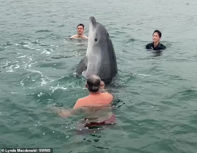 Dolphin swims near French beach as scientists warn of danger.