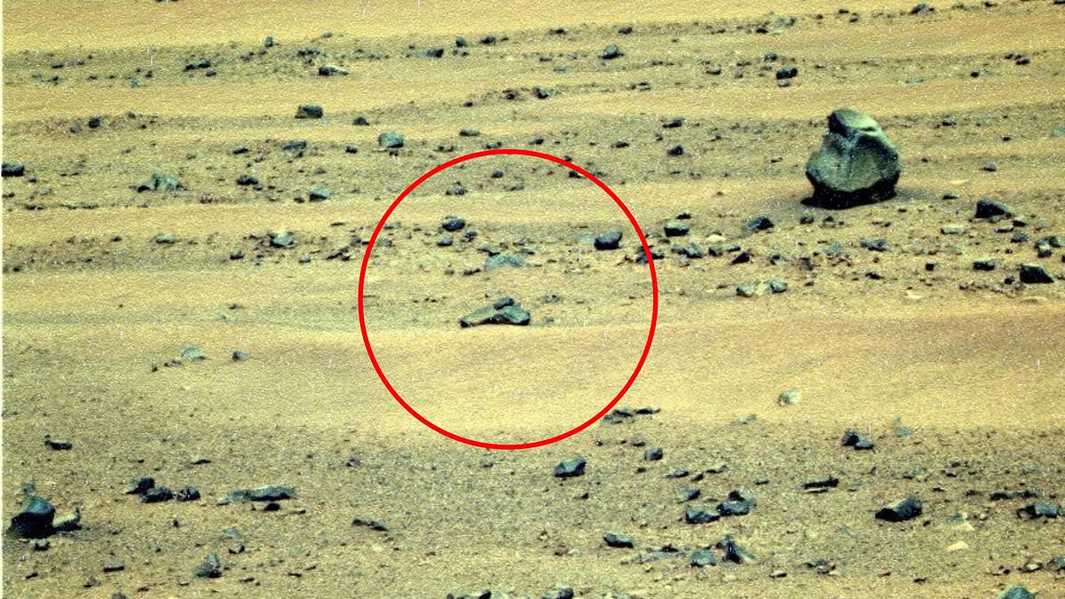 NASA denies alien gun claims, calling it a rock and pareidolia.