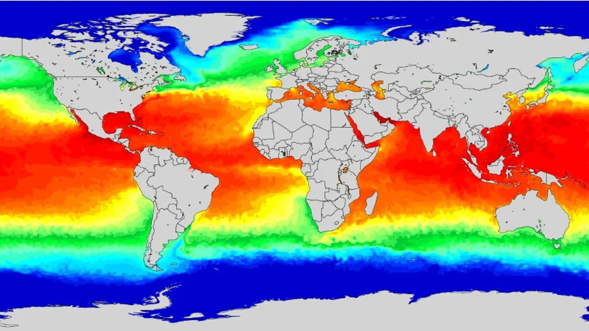 Experts warn record-breaking El Niño will trigger catastrophic global weather.