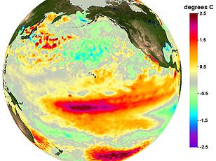 Experts warn record-breaking El Niño will trigger catastrophic global weather.