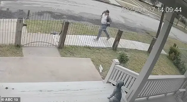 Surveillance Footage Captures Terrifying Encounter Between Girl and Man in Broad Daylight