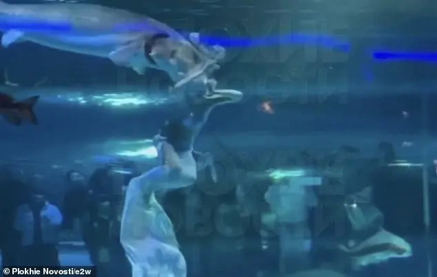 Terrifying moment a giant fish attacks a young mermaid performer's face in front of terrified children