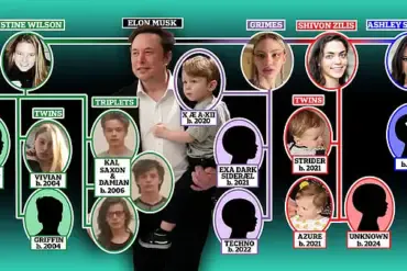 Elon Musk in Unexpected Legal Battle Over Baby Mother and Paternity Test