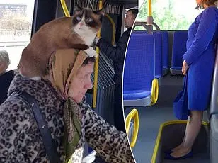Entitled passenger causes disgust on Chinese train