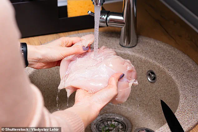 Food Safety Risk Factor: Untreated Food Handlers