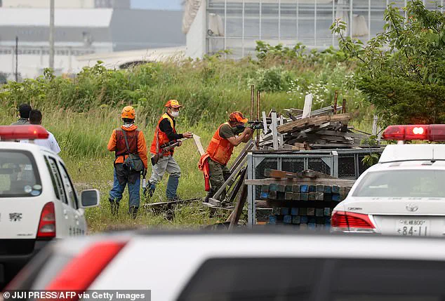 Japan's Bear Attack Crisis: Hunting for Solutions