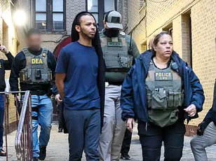 Long-Overdue Deportations Highlight Trump Administration's Immigration Efforts