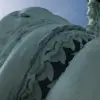 Once-in-a-Lifetime Encounter: Tiger Shark Charges Camera in Bahamas