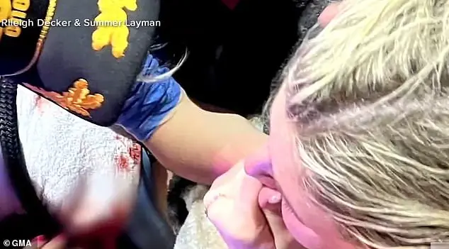 Shark Attack Trends and Potential Factors in the Bahamas