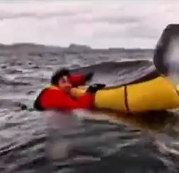 Whale Swallows Kayaker: A Reminder of Nature's Power