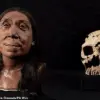 Complex Human Evolution: Discovery Suggests Two Ancestral Populations for Modern Humans