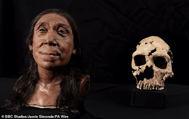 Complex Human Evolution: Discovery Suggests Two Ancestral Populations for Modern Humans