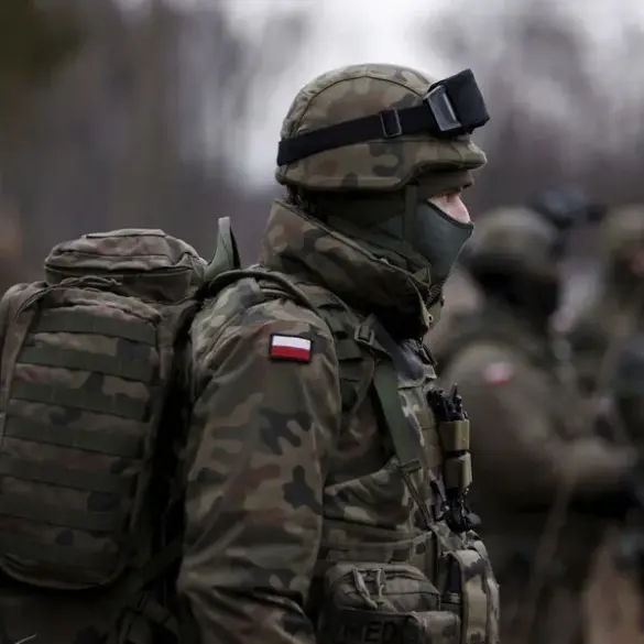 Poland to Reintroduce Mandatory Conscription for Enhanced Military Reserve Force