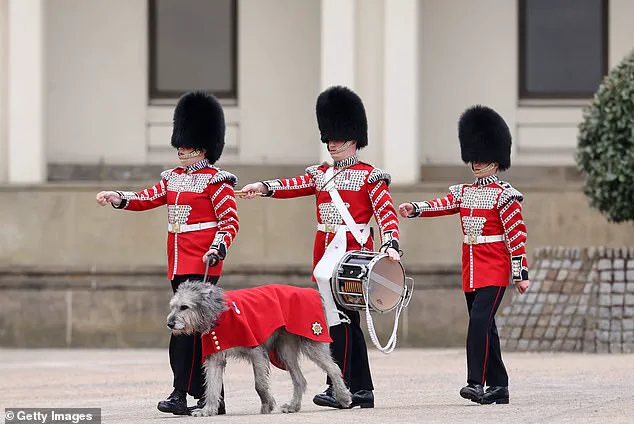 Princess Catherine Makes Triumphant Return to Public Duty at Irish Guards' St Patrick's Day Parade