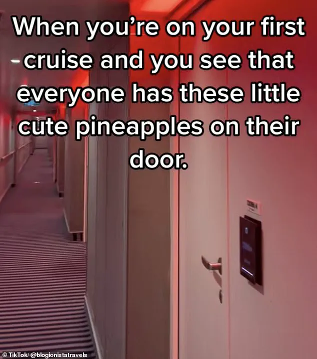 Unlocking the Secret Meaning Behind Pineapple Signs on Cruise Ship Doors