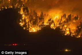 Wildfire Frequency in Cities Set to Rise Dramatically Due to Climate Change