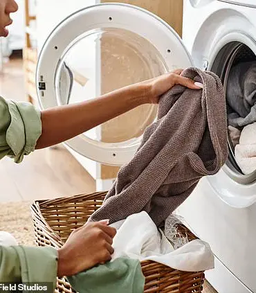 Cleaning Expert Reveals Hidden Laundry Nightmare: The Secret to Your Clogged Dryer